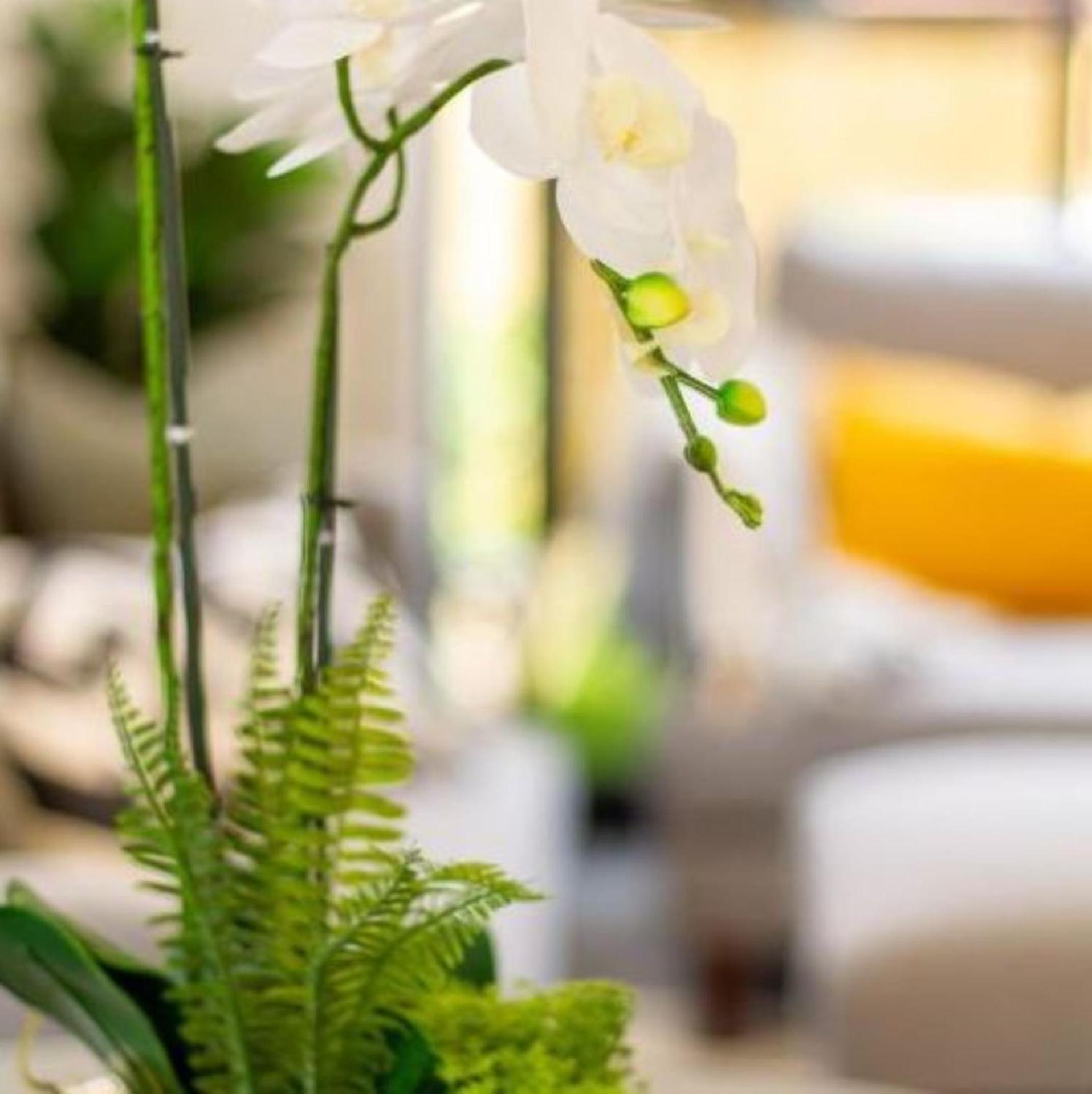 Apartamento New Sophisticated City Pad Christchurch Exterior foto